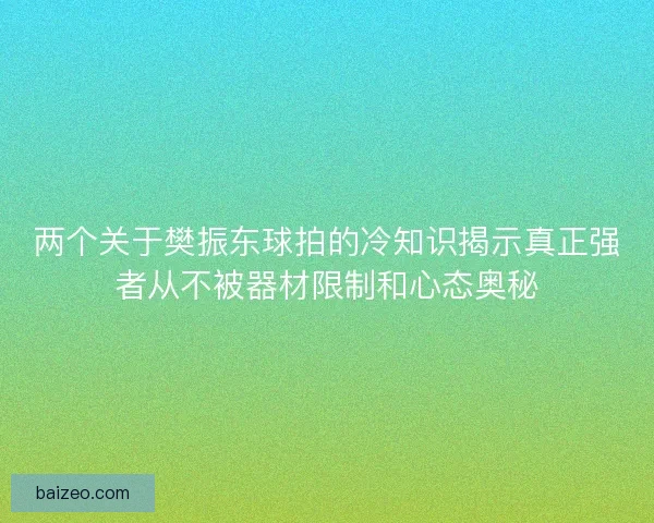两个关于樊振东球拍的冷知识揭示真正强者从不被器材限制和心态奥秘 两个关于樊振东球拍的冷知识揭示真正强者从不被器材限制和心态奥秘